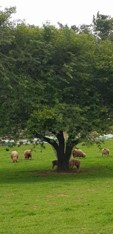 Herkules Namhae German Village ภายนอก รูปภาพ